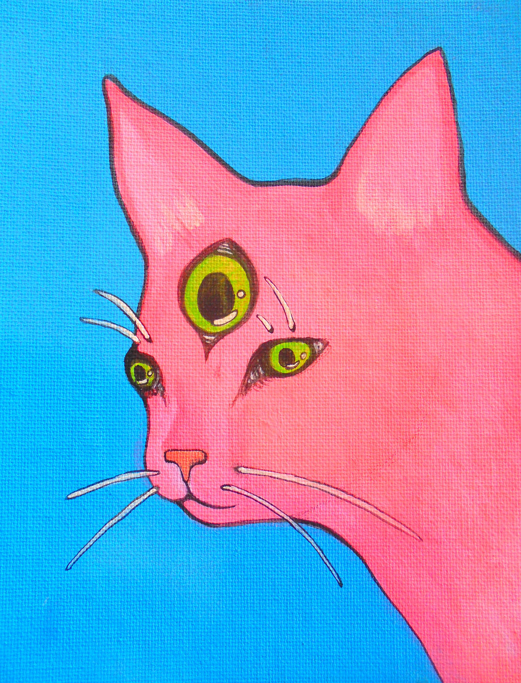 hallucinogen cat.jpg